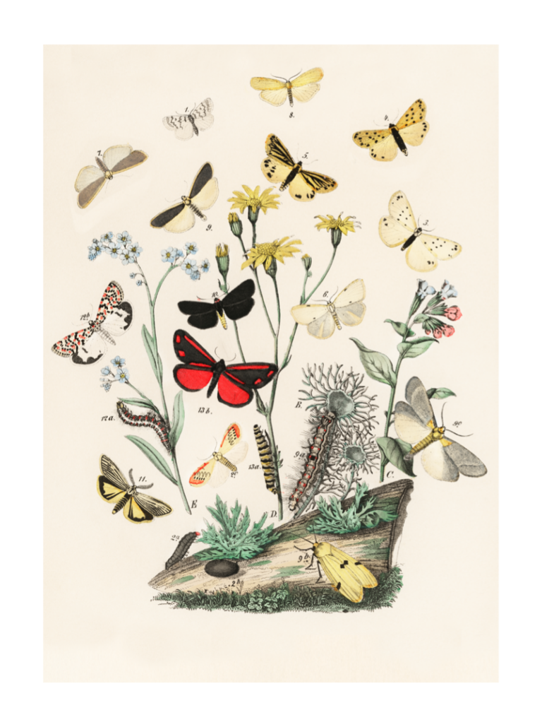 Dig-Illustrative-0051-LR