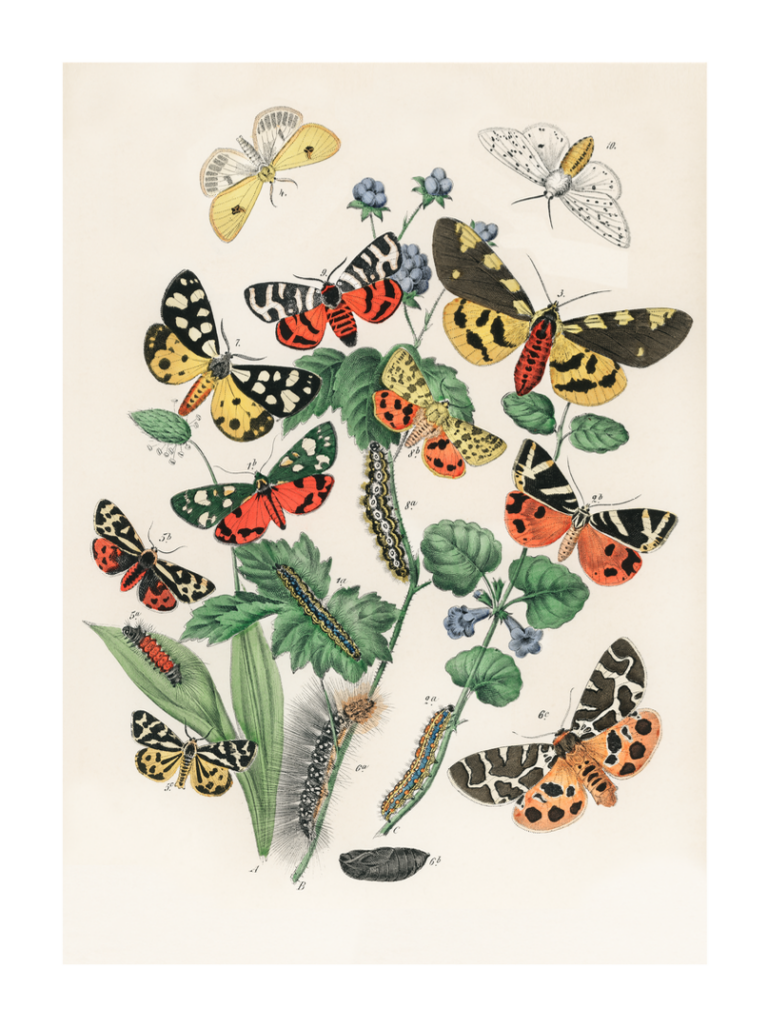 Dig-Illustrative-0055-LR
